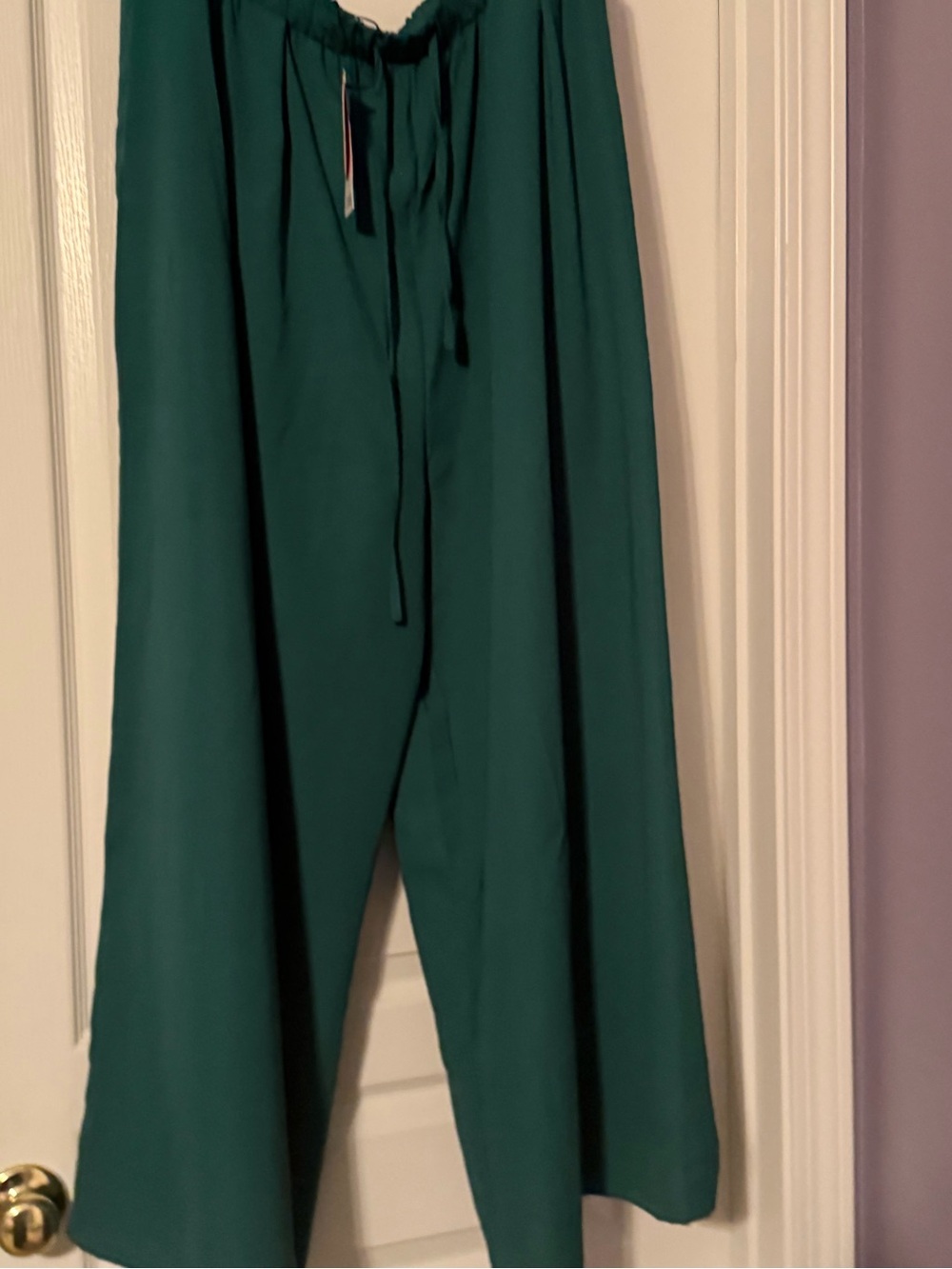 Cider Wide-Leg Drawstring Pants in Teal Green
